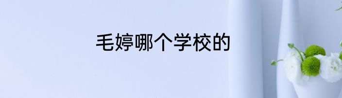 毛婷哪个学校的