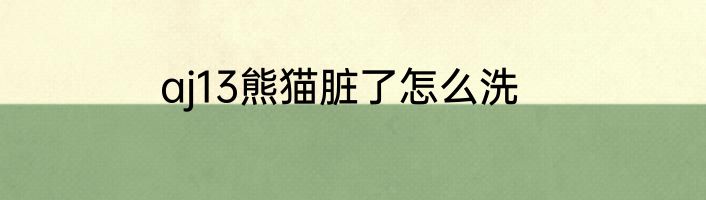 aj13熊猫脏了怎么洗