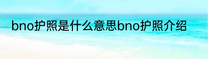 bno护照是什么意思bno护照介绍