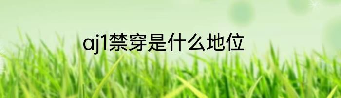 aj1禁穿是什么地位