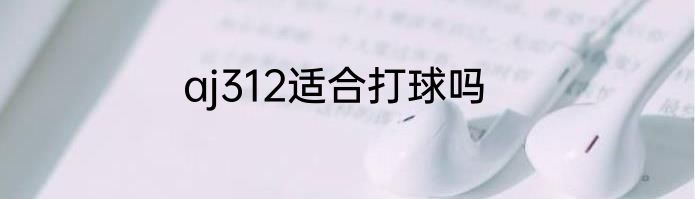 aj312适合打球吗