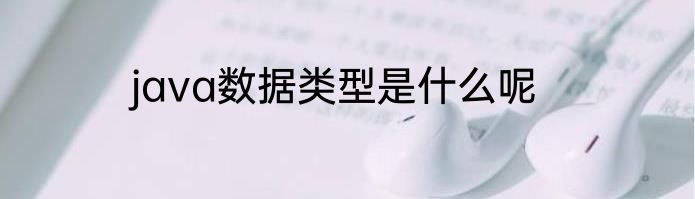 java数据类型是什么呢