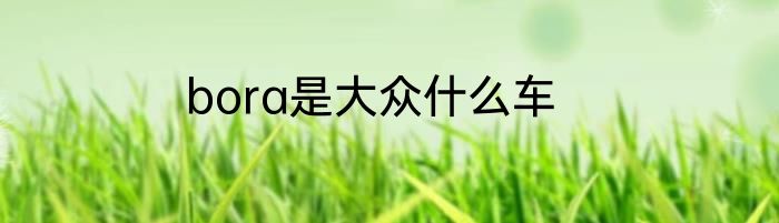 bora是大众什么车