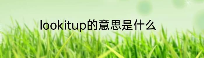 lookitup的意思是什么