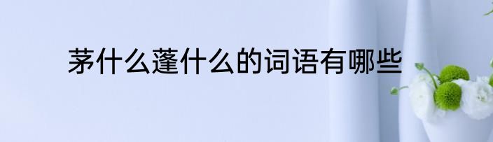 茅什么蓬什么的词语有哪些