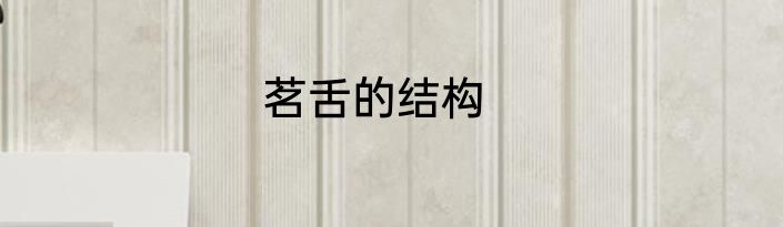 茗舌的结构
