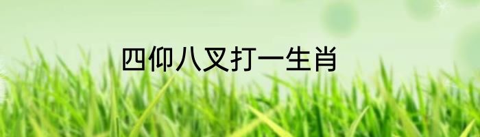 四仰八叉打一生肖