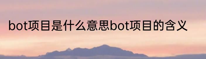 bot项目是什么意思bot项目的含义