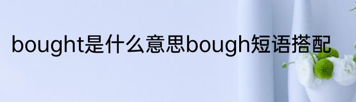 bought是什么意思bough短语搭配