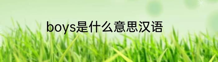 boys是什么意思汉语