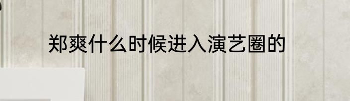 郑爽什么时候进入演艺圈的