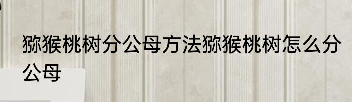 猕猴桃树分公母方法猕猴桃树怎么分公母