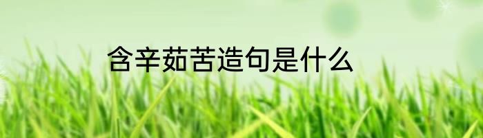 含辛茹苦造句是什么