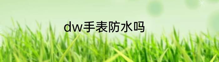 dw手表防水吗
