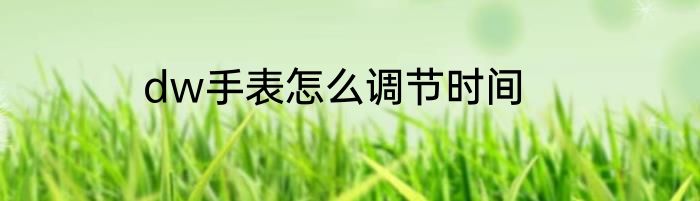 dw手表怎么调节时间