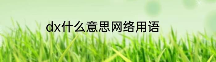dx什么意思网络用语