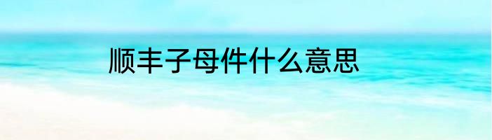 顺丰子母件什么意思
