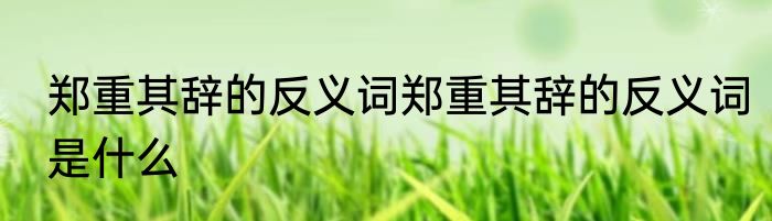 郑重其辞的反义词郑重其辞的反义词是什么