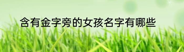 含有金字旁的女孩名字有哪些
