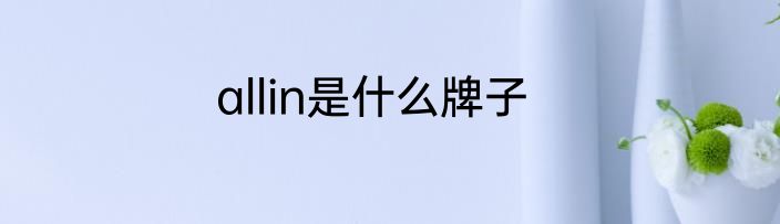allin是什么牌子