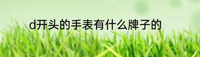 d开头的手表有什么牌子的