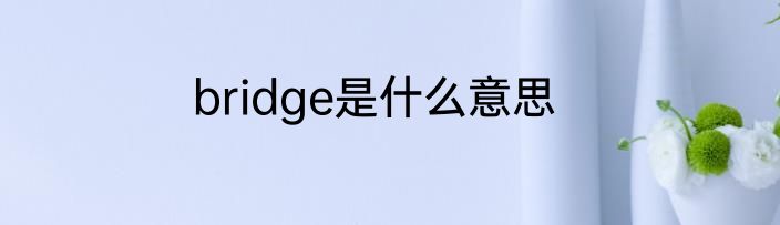 bridge是什么意思