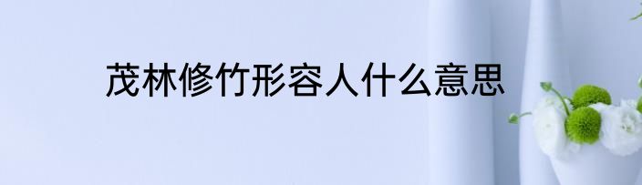 茂林修竹形容人什么意思