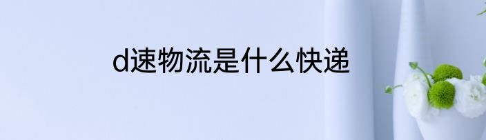 d速物流是什么快递