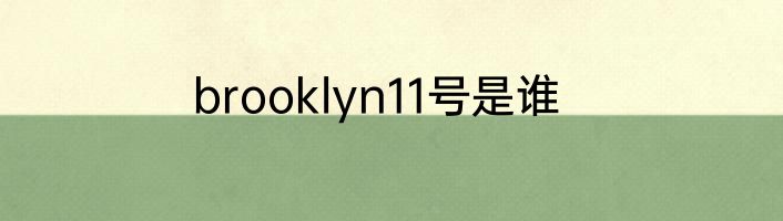 brooklyn11号是谁