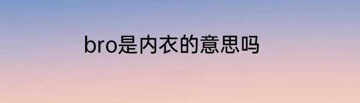 bro是内衣的意思吗