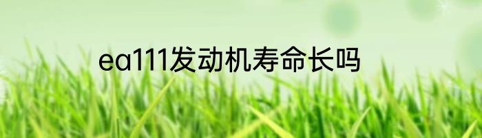 ea111发动机寿命长吗