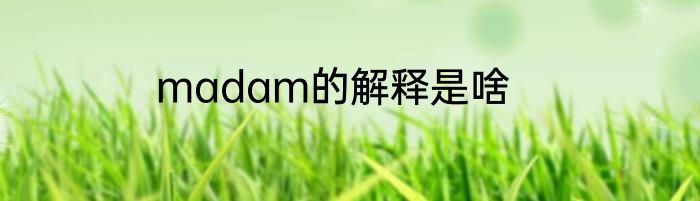 madam的解释是啥