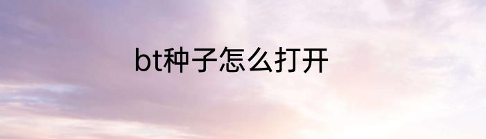 bt种子怎么打开