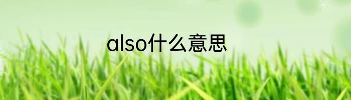also什么意思