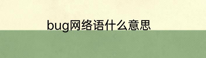 bug网络语什么意思