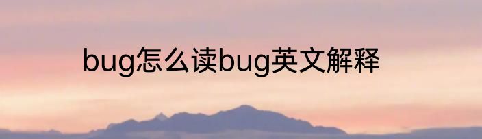 bug怎么读bug英文解释