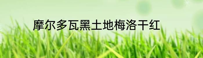 摩尔多瓦黑土地梅洛干红