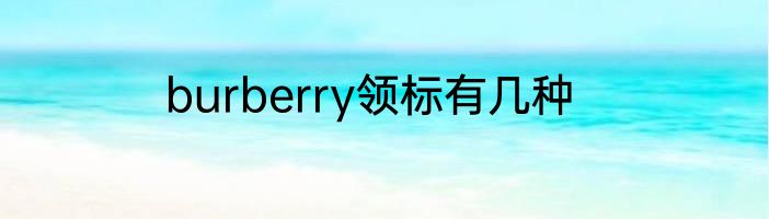 burberry领标有几种