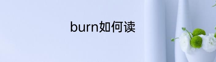 burn如何读