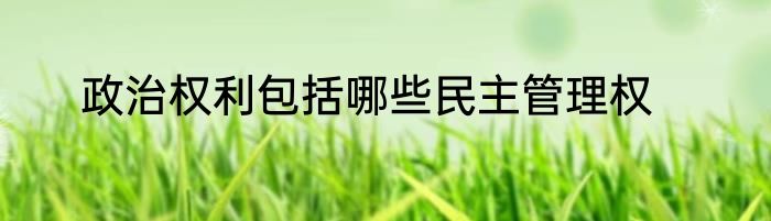 政治权利包括哪些民主管理权