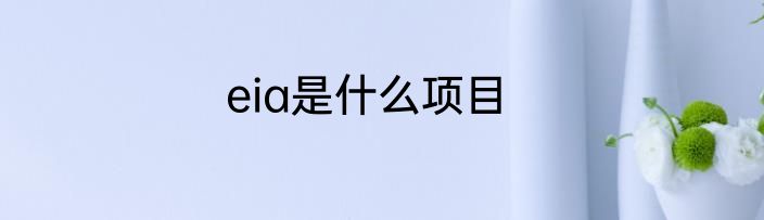 eia是什么项目