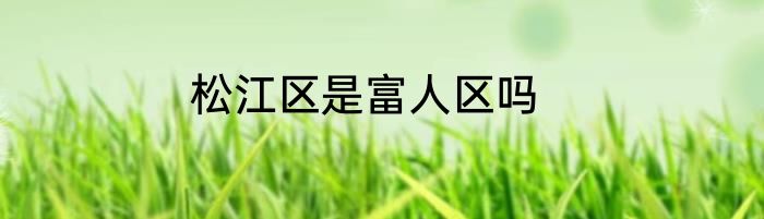 松江区是富人区吗