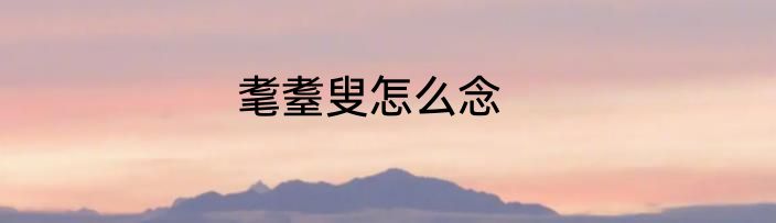 耄耋叟怎么念