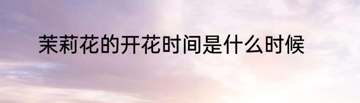 茉莉花的开花时间是什么时候