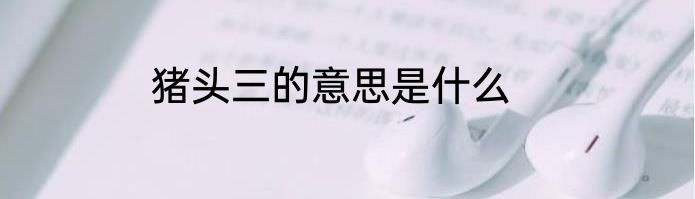 猪头三的意思是什么