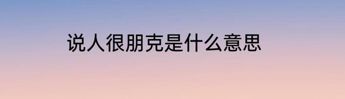 说人很朋克是什么意思