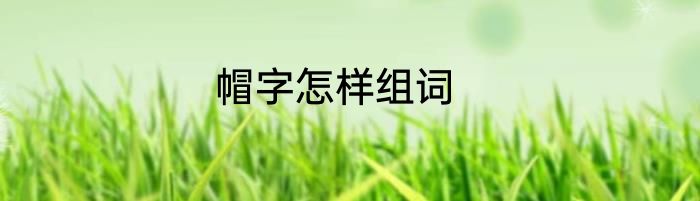 帽字怎样组词