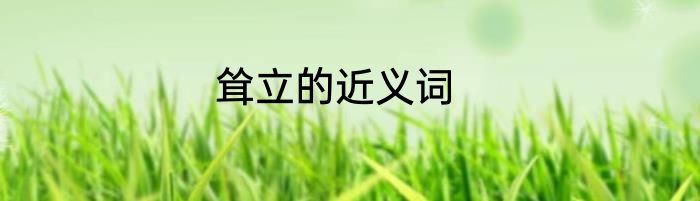 耸立的近义词