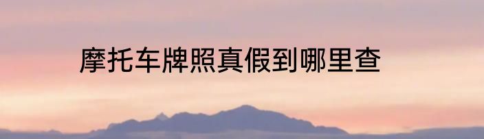 摩托车牌照真假到哪里查
