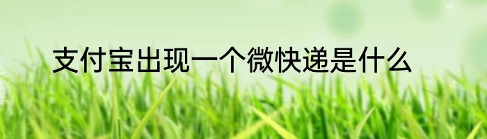 支付宝出现一个微快递是什么